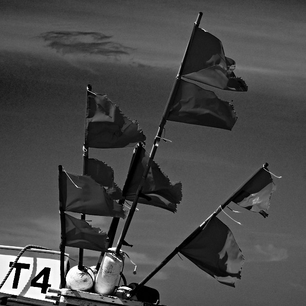 Flaggen-Bojen Nørre Vorupør - Wolfgang Tamm Fotografie
